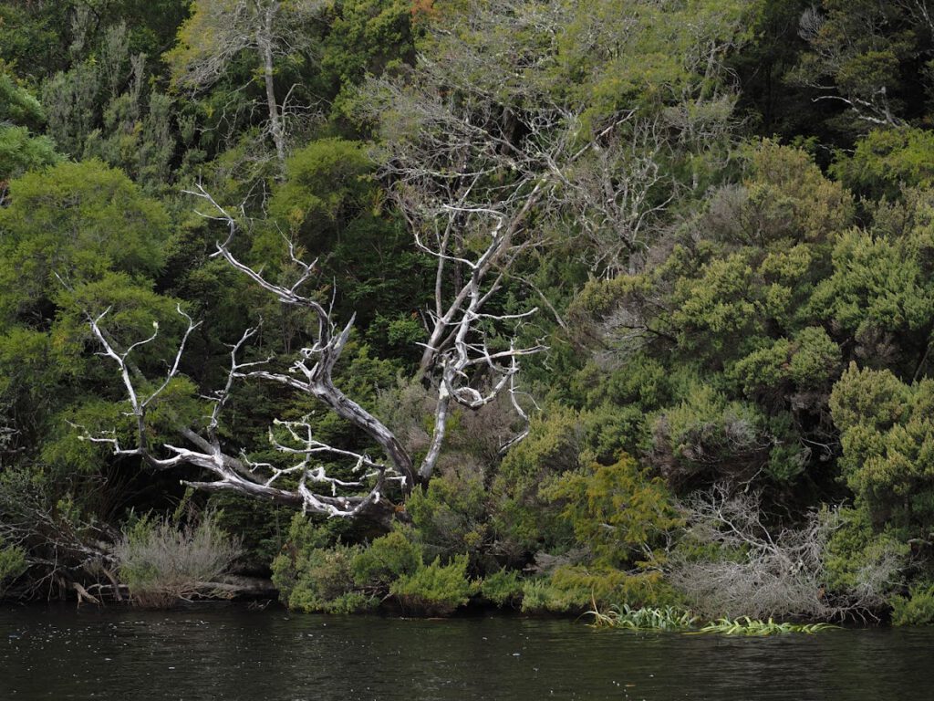 The hidden gem of Tassie