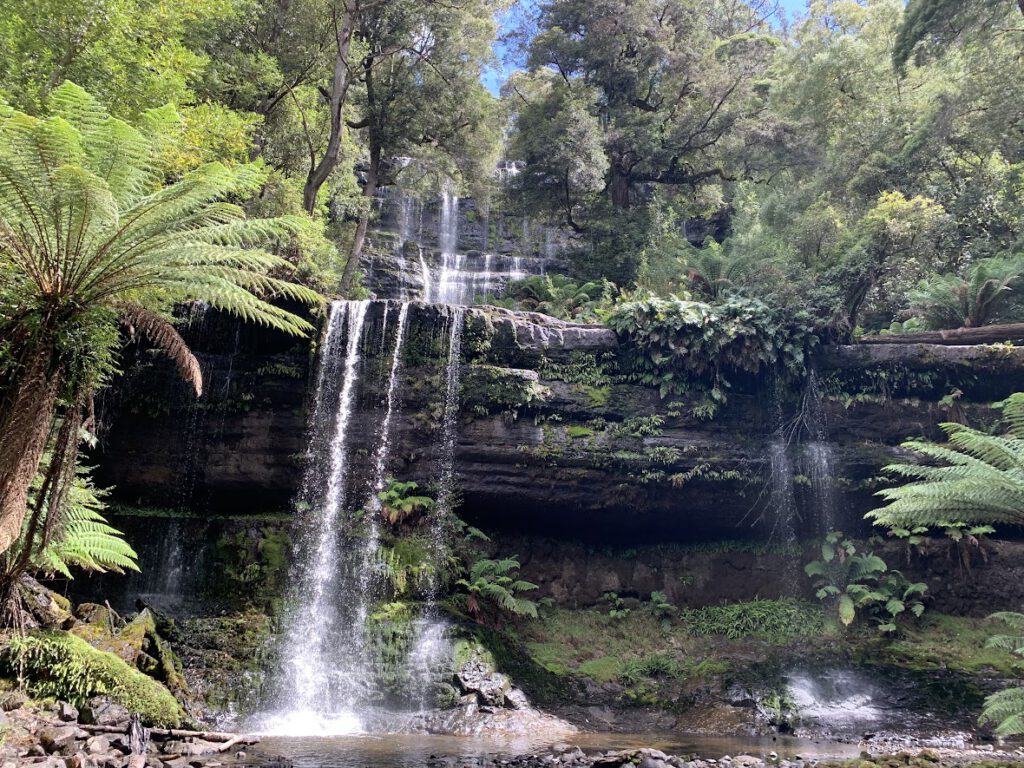 Mount Field National park