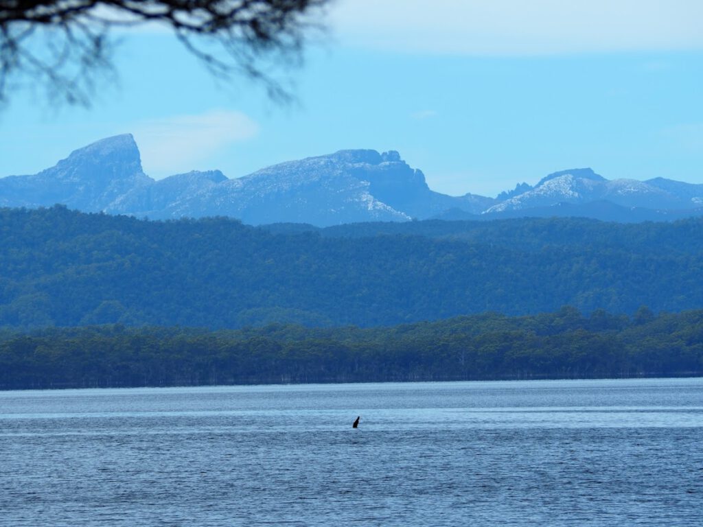 Gordon river cruise