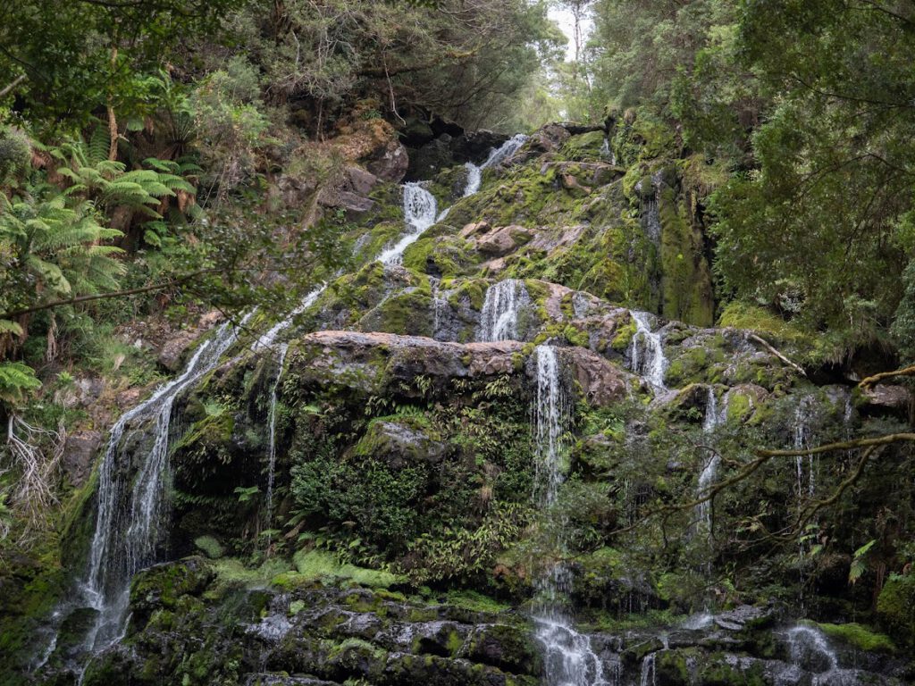 Nelson Falls track